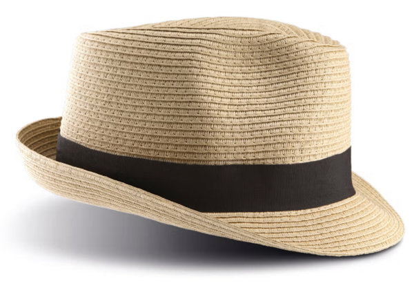 KP068 - Chapeau Panama